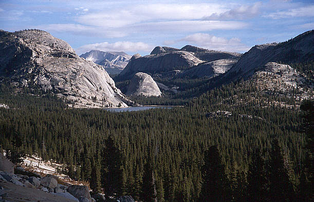 another nice picture :-)