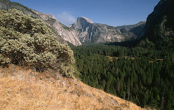 another nice picture :-)